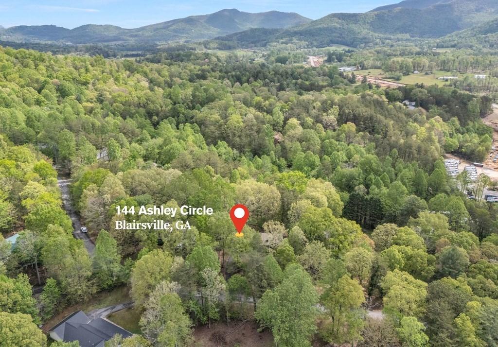 144 Ashley Circle, BLAIRSVILLE, Georgia image 43