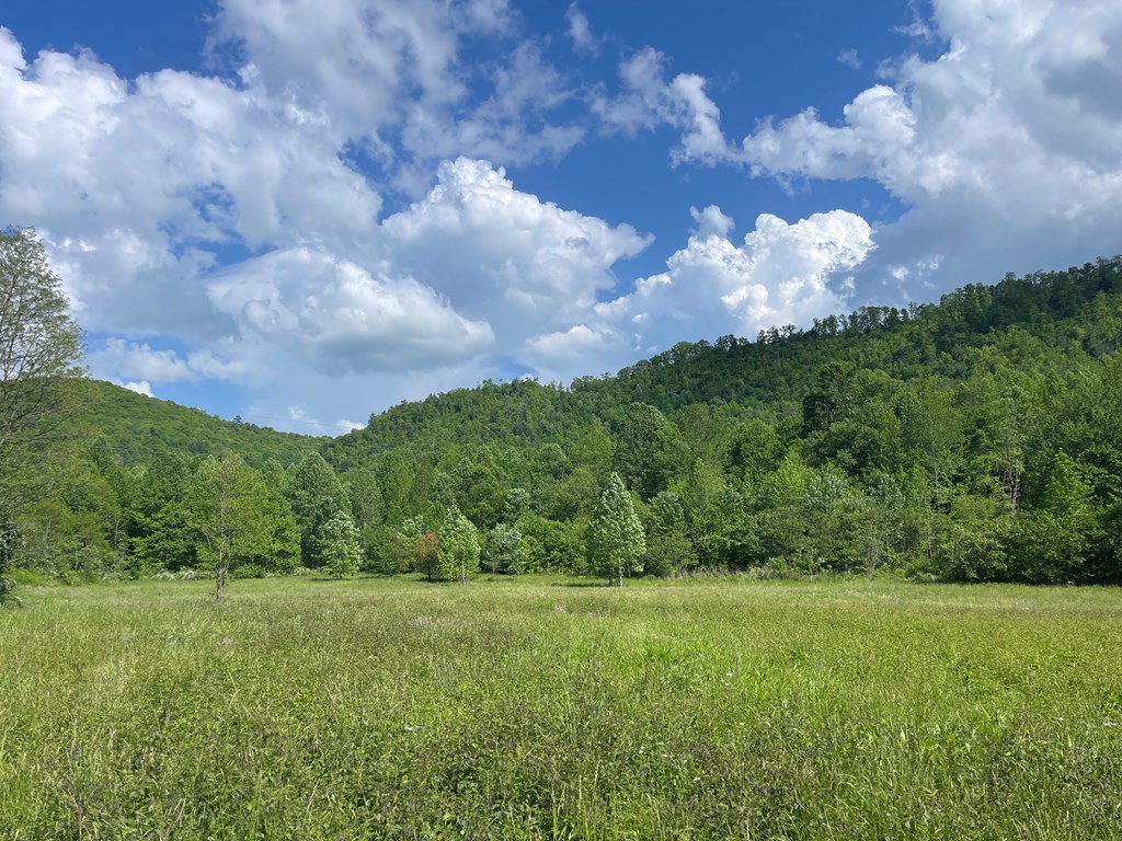 155 Cedar Cliff Lane, MURPHY, North Carolina image 4