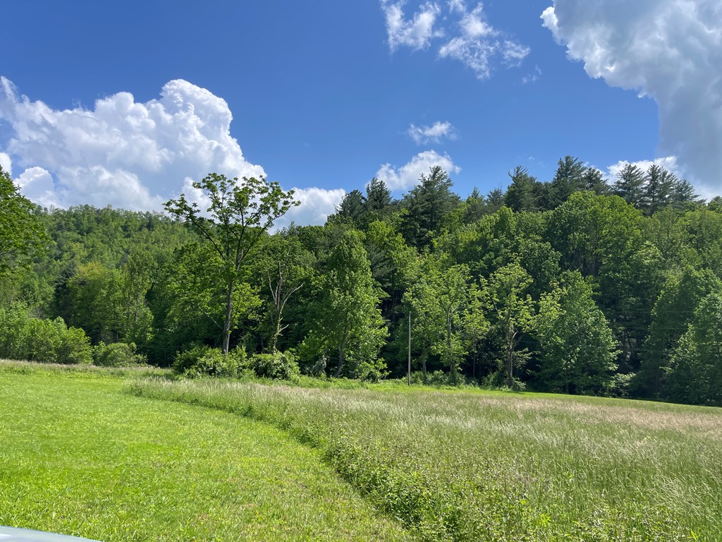 155 Cedar Cliff Lane, MURPHY, North Carolina image 18