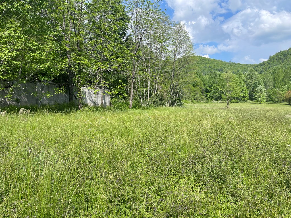 155 Cedar Cliff Lane, MURPHY, North Carolina image 32