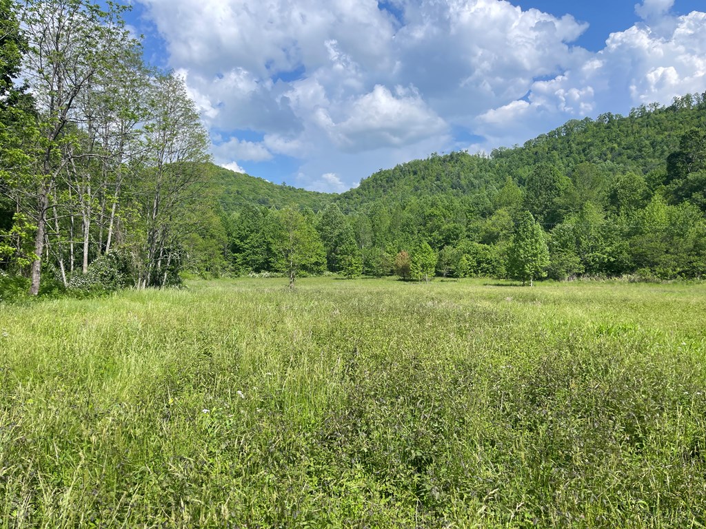 155 Cedar Cliff Lane, MURPHY, North Carolina image 11