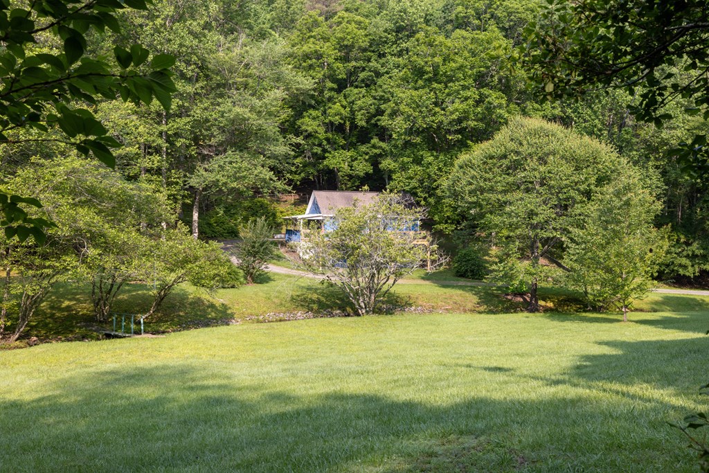 1008 Stamey Cove Road, HAYESVILLE, North Carolina image 3