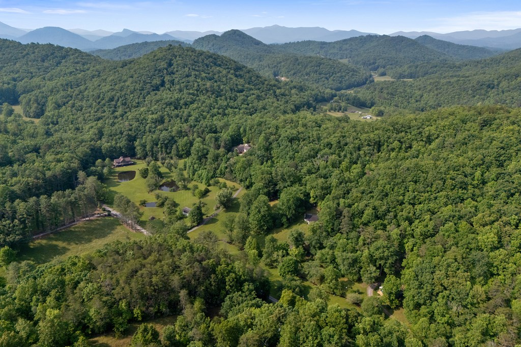 1008 Stamey Cove Road, HAYESVILLE, North Carolina image 47