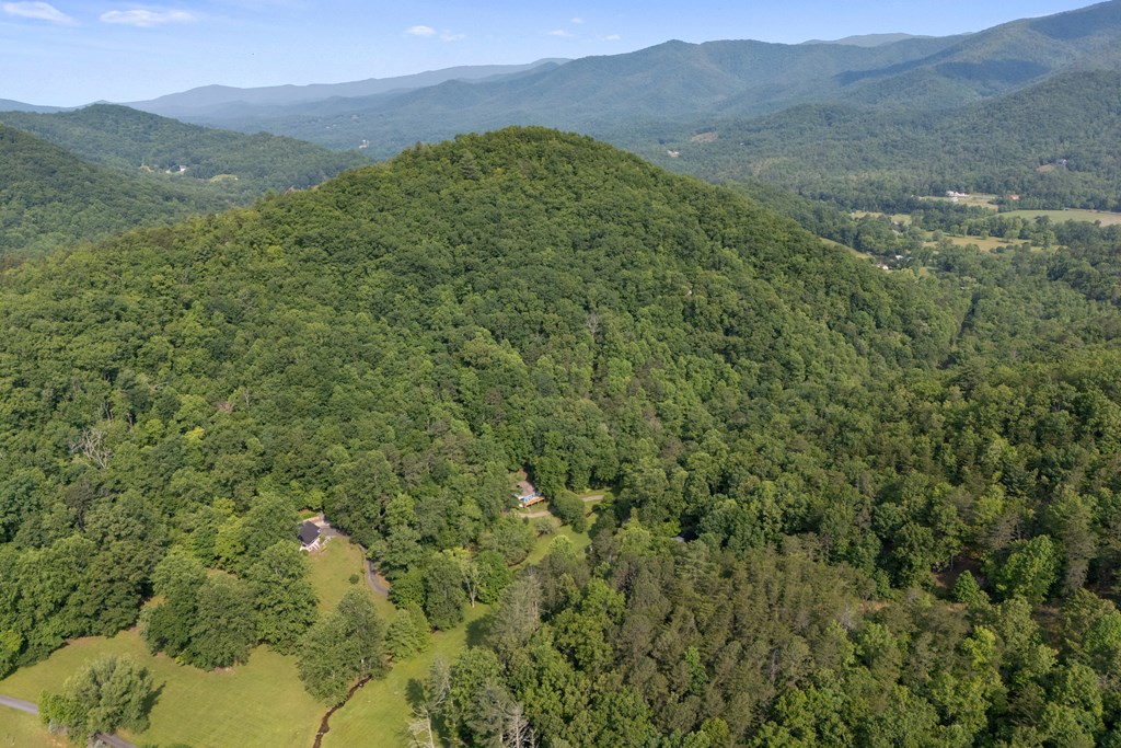 1008 Stamey Cove Road, HAYESVILLE, North Carolina image 49