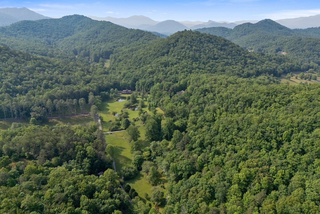 1008 Stamey Cove Road, HAYESVILLE, North Carolina image 46