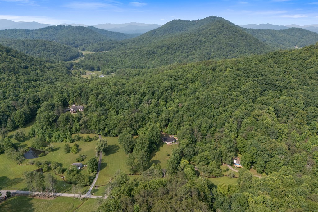 1008 Stamey Cove Road, HAYESVILLE, North Carolina image 48