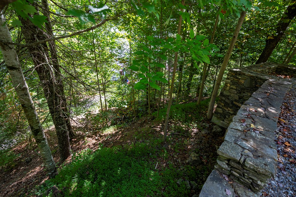 Lot 16 #16, ROBBINSVILLE, North Carolina image 2