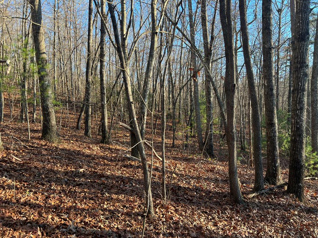 Lot 54 Penlands Indian Trl #54, HAYESVILLE, North Carolina image 1