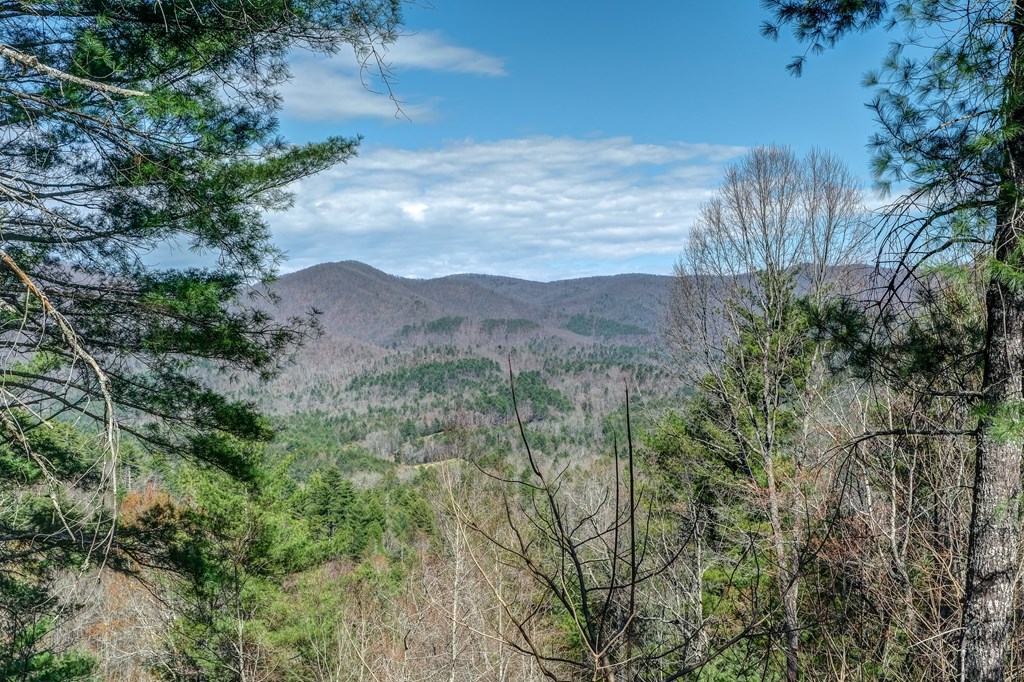 650 Top Horseshoe Ridge, MURPHY, North Carolina image 2