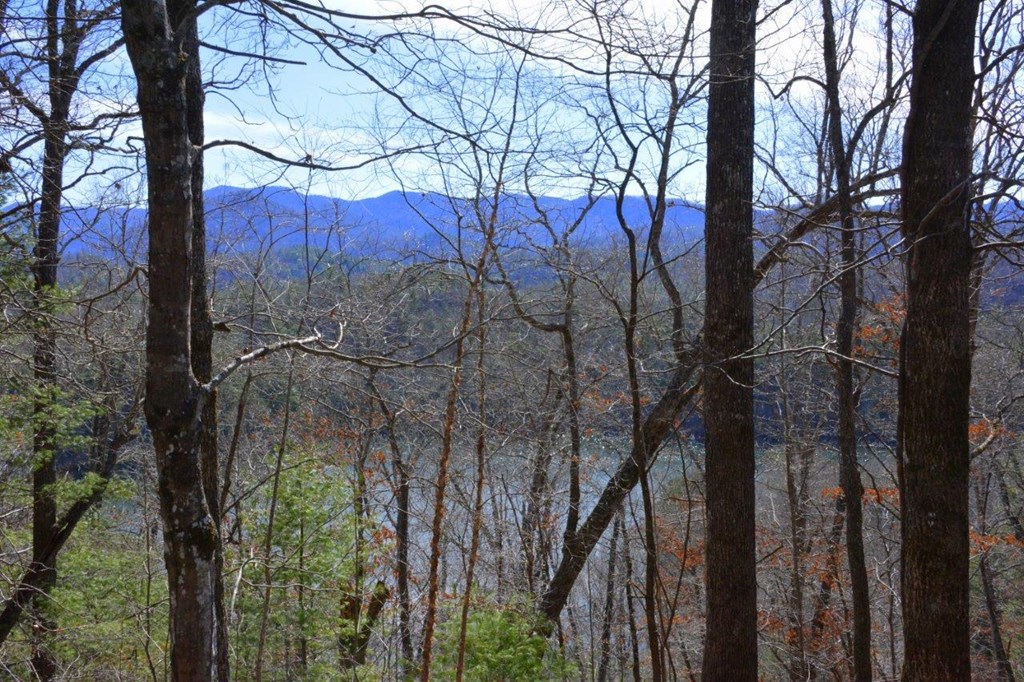 00 Chestnut Ridge #15, ROBBINSVILLE, North Carolina image 4