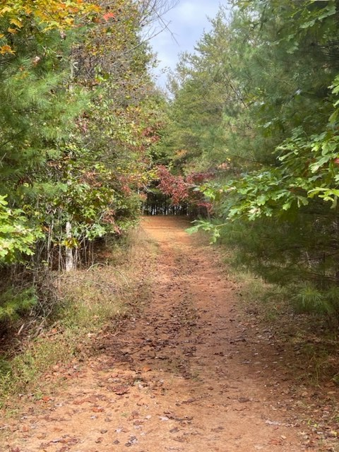 TBD Tobe Stalcup Rd, MURPHY, North Carolina image 7
