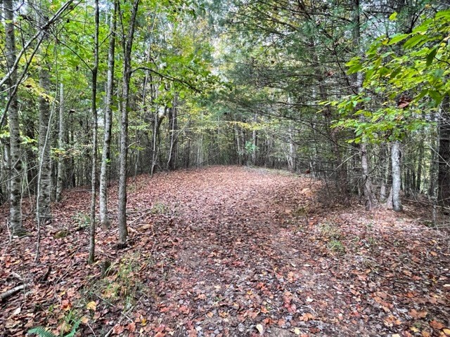 TBD Tobe Stalcup Rd, MURPHY, North Carolina image 9