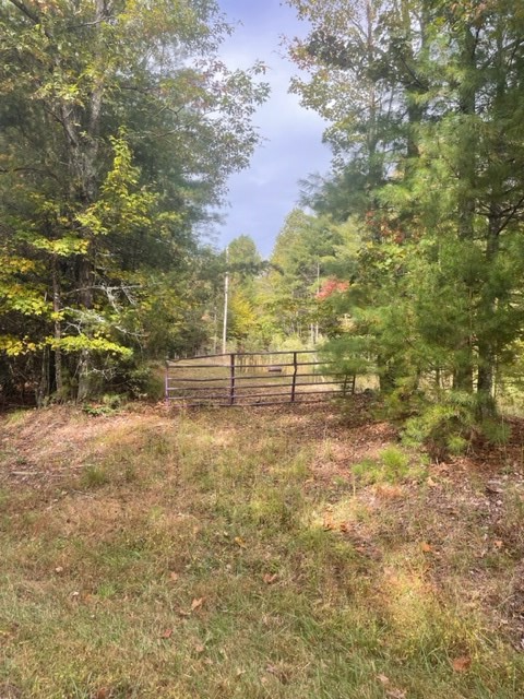 TBD Tobe Stalcup Rd, MURPHY, North Carolina image 3