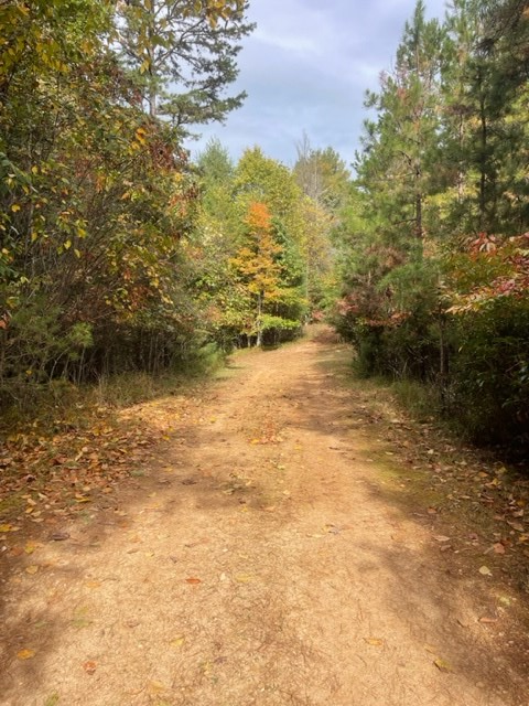 TBD Tobe Stalcup Rd, MURPHY, North Carolina image 5