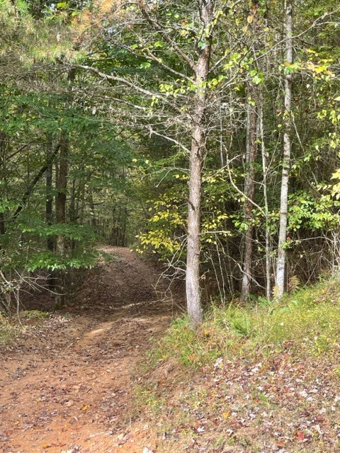 TBD Tobe Stalcup Rd, MURPHY, North Carolina image 6