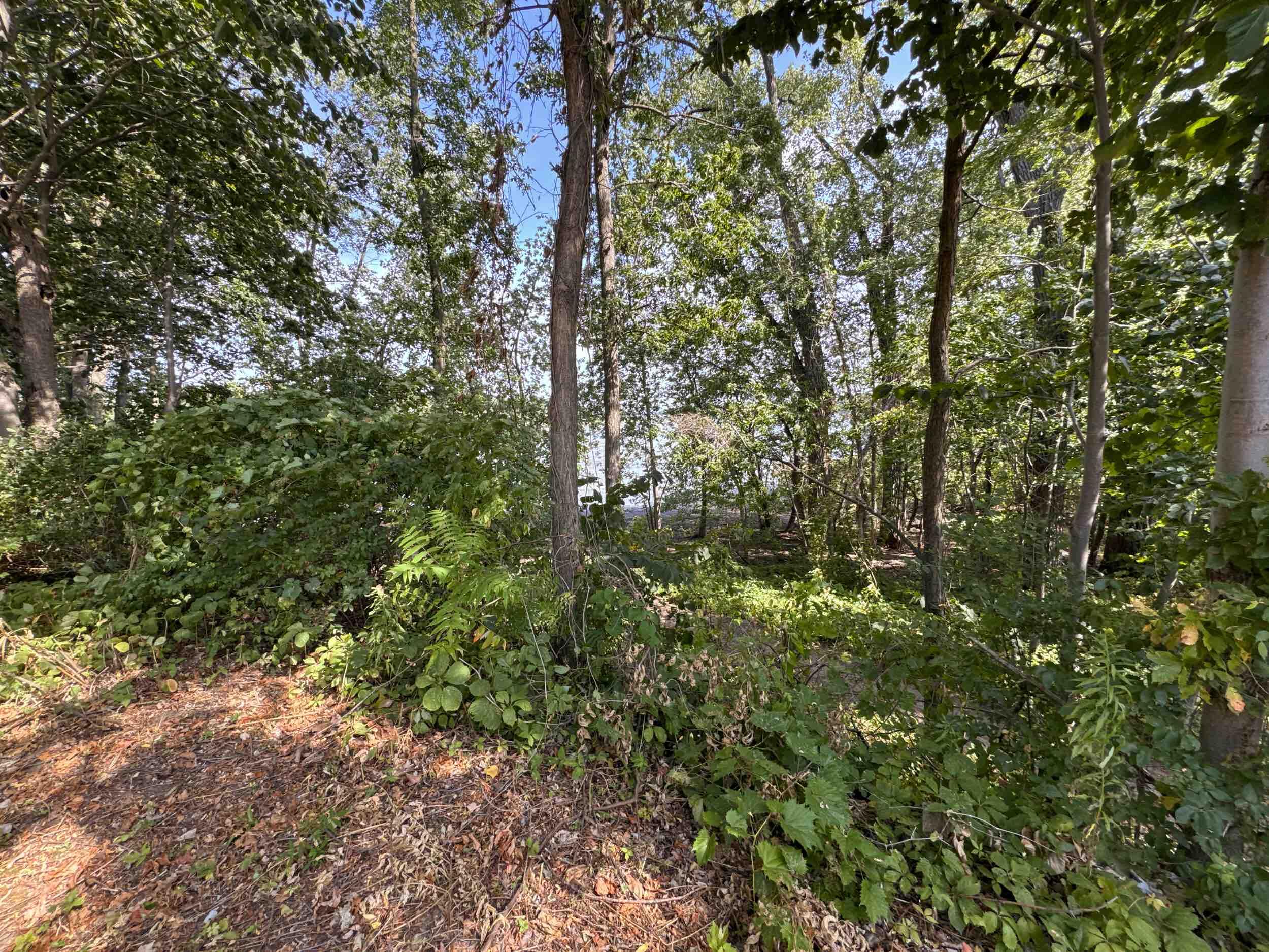 15 Champlain Shores Way