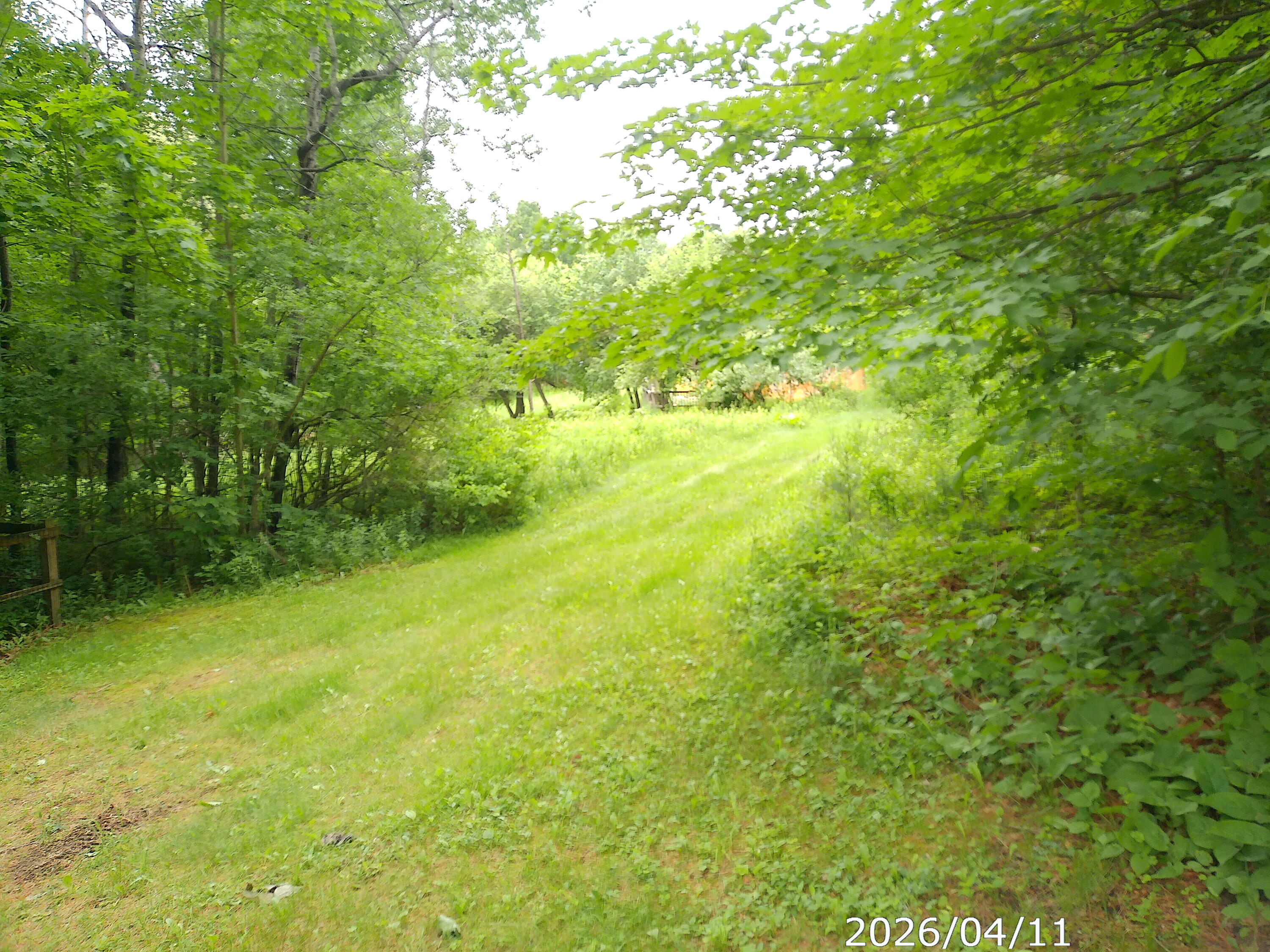 313 Springfield Road
