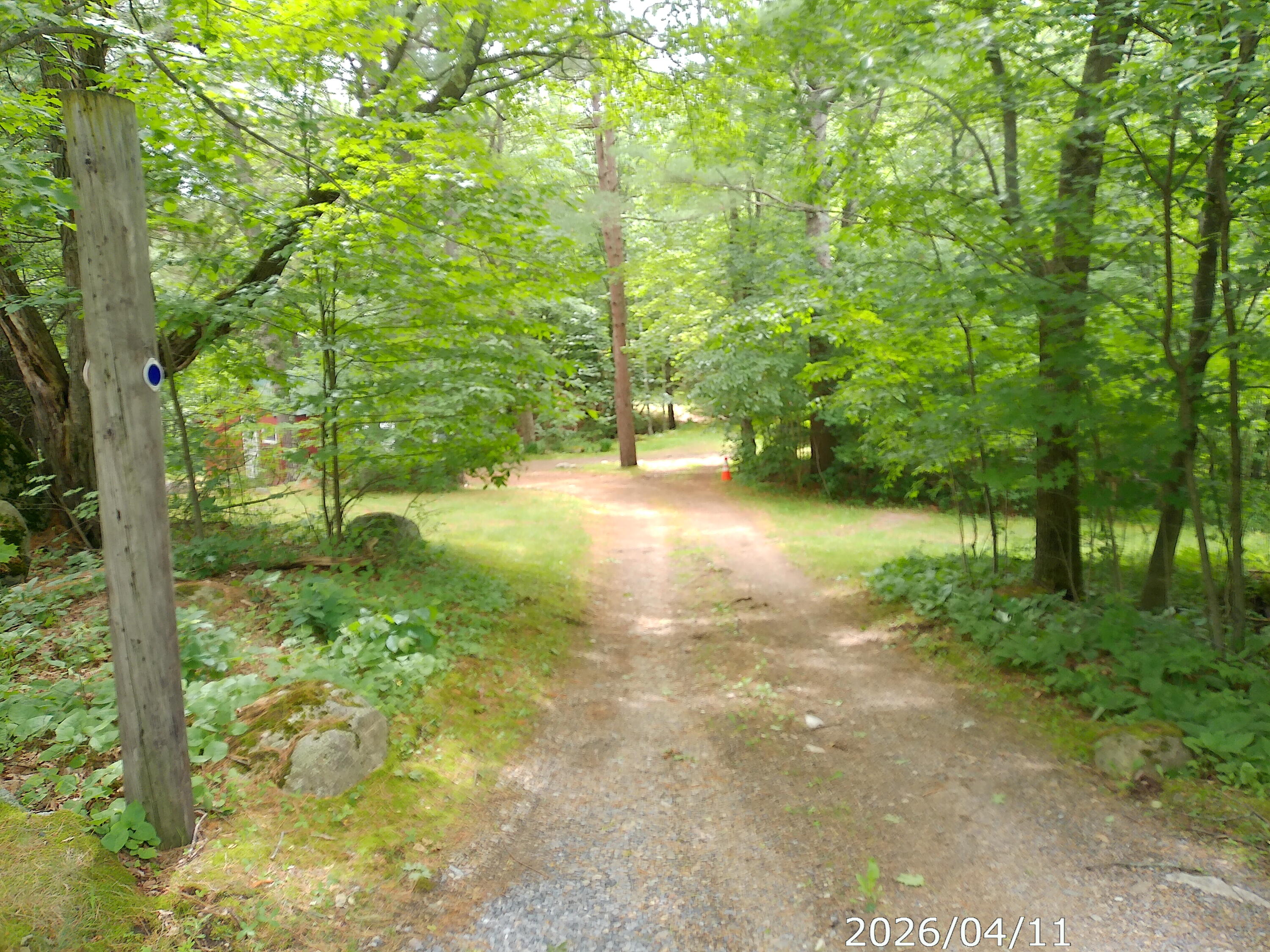 313 Springfield Road