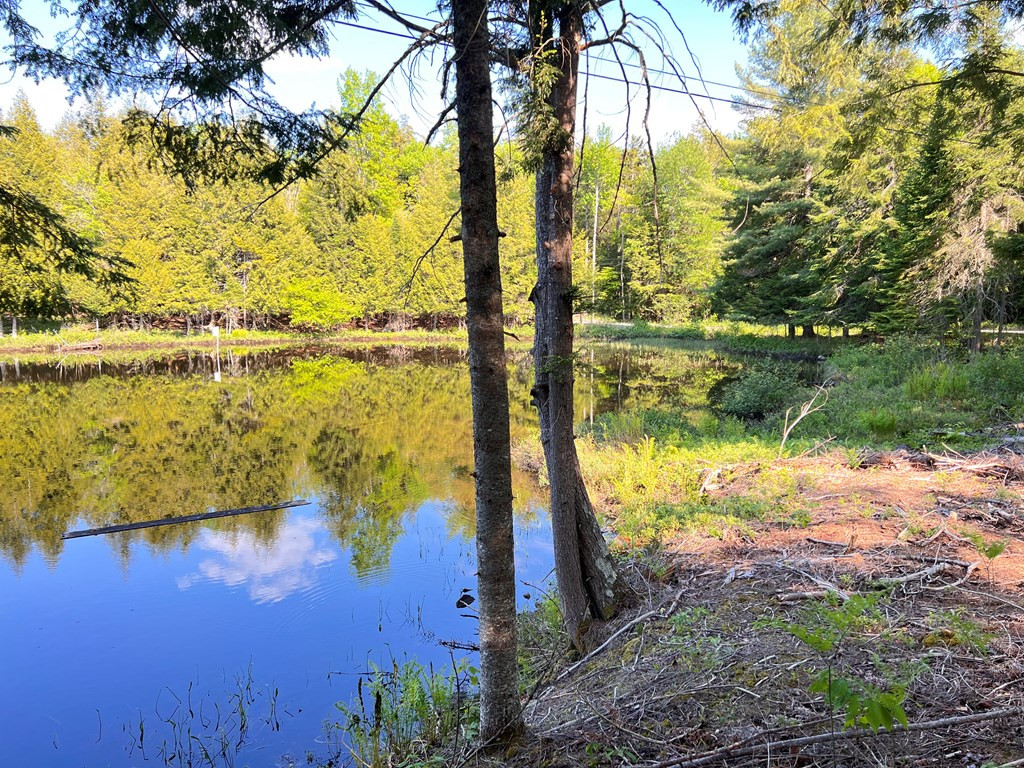 Beecher Park Way, Long Lake, New York image 4