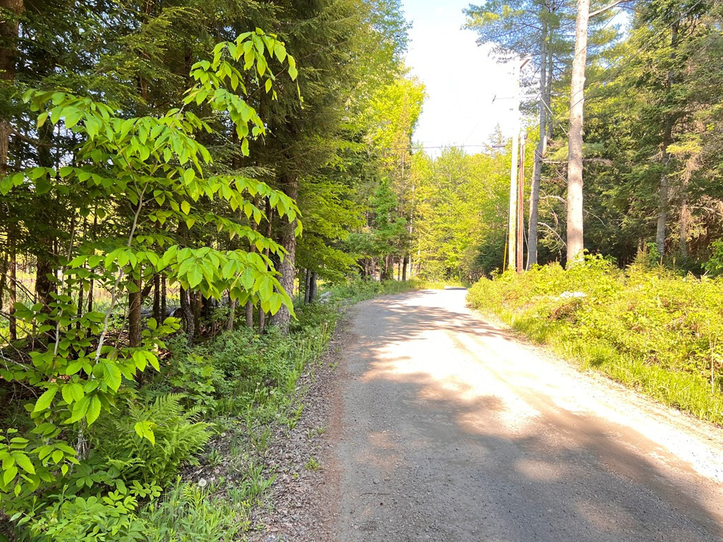 Beecher Park Way, Long Lake, New York image 13