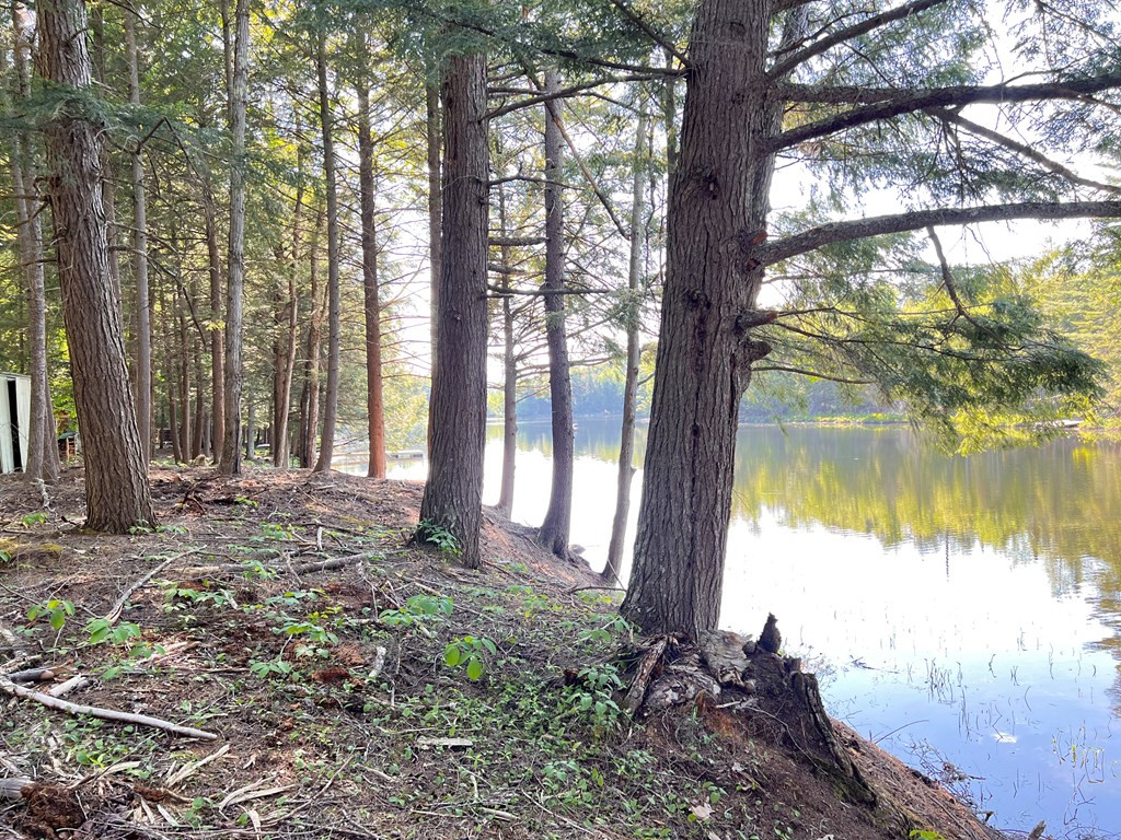 Beecher Park Way, Long Lake, New York image 2