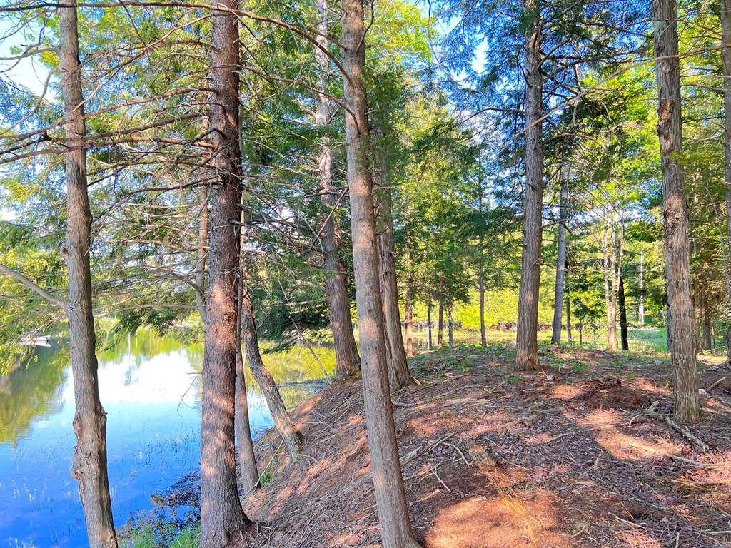 Beecher Park Way, Long Lake, New York image 3