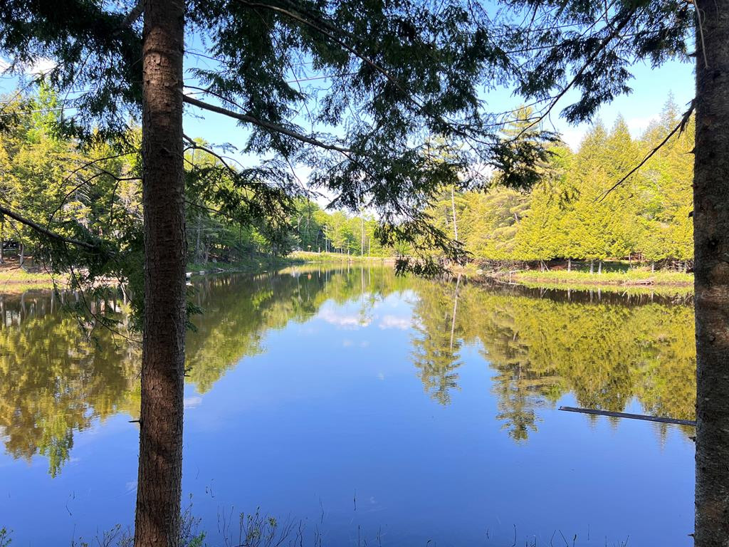 Beecher Park Way, Long Lake, New York image 1