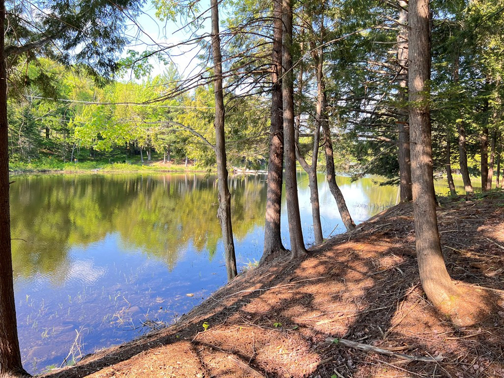 Beecher Park Way, Long Lake, New York image 9