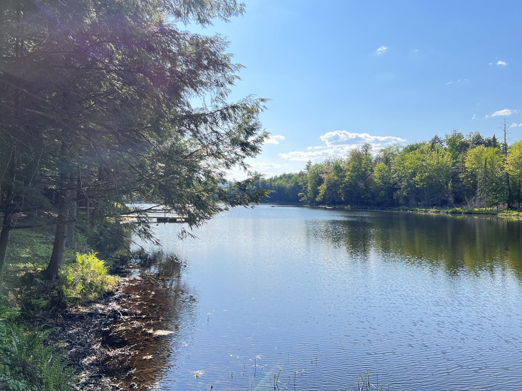 Beecher Park Way, Long Lake, New York image 8