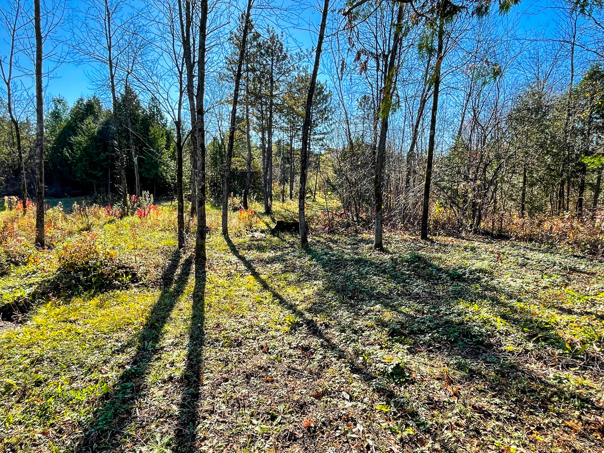 Fournier Road, West Chazy, New York image 10