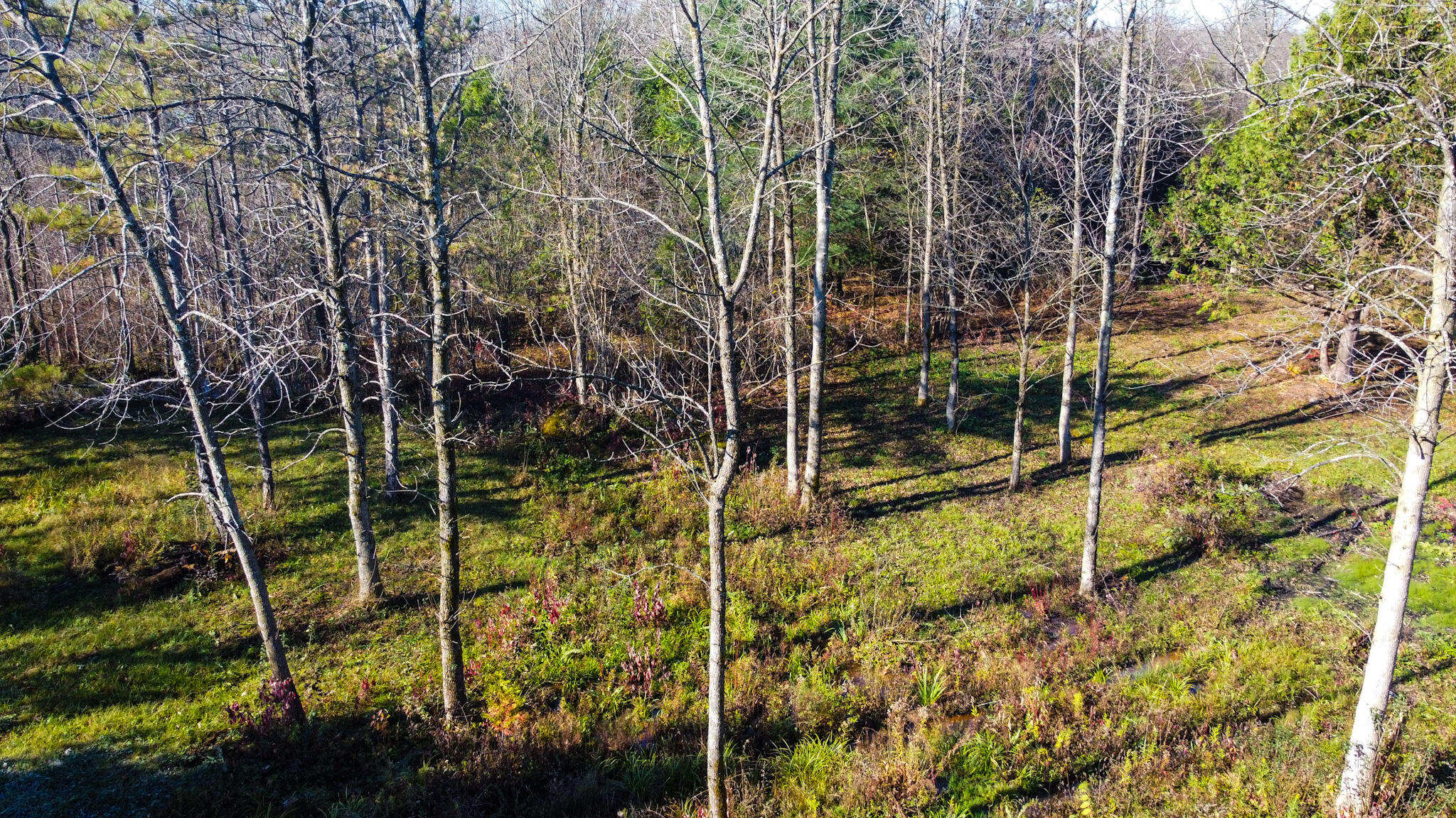 Fournier Road, West Chazy, New York image 7