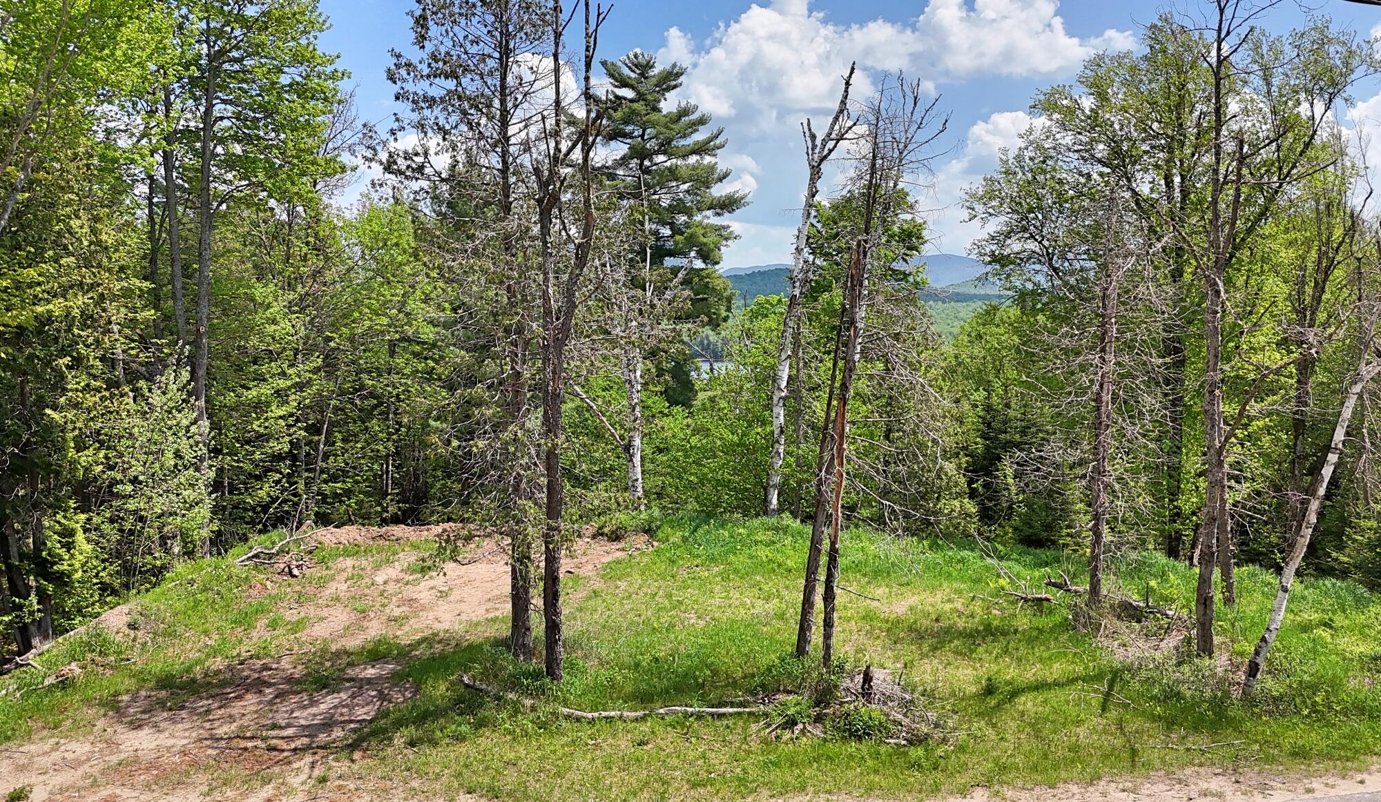 Rock Street, Vermontville, New York image 7