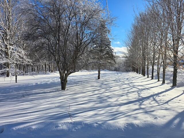 546 Heath Hill Road, Brushton, New York image 17