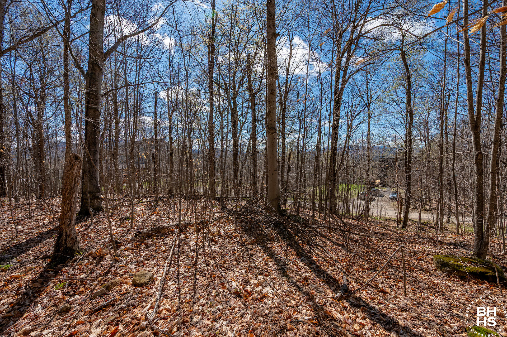 0 Panorama Lot 19 Drive