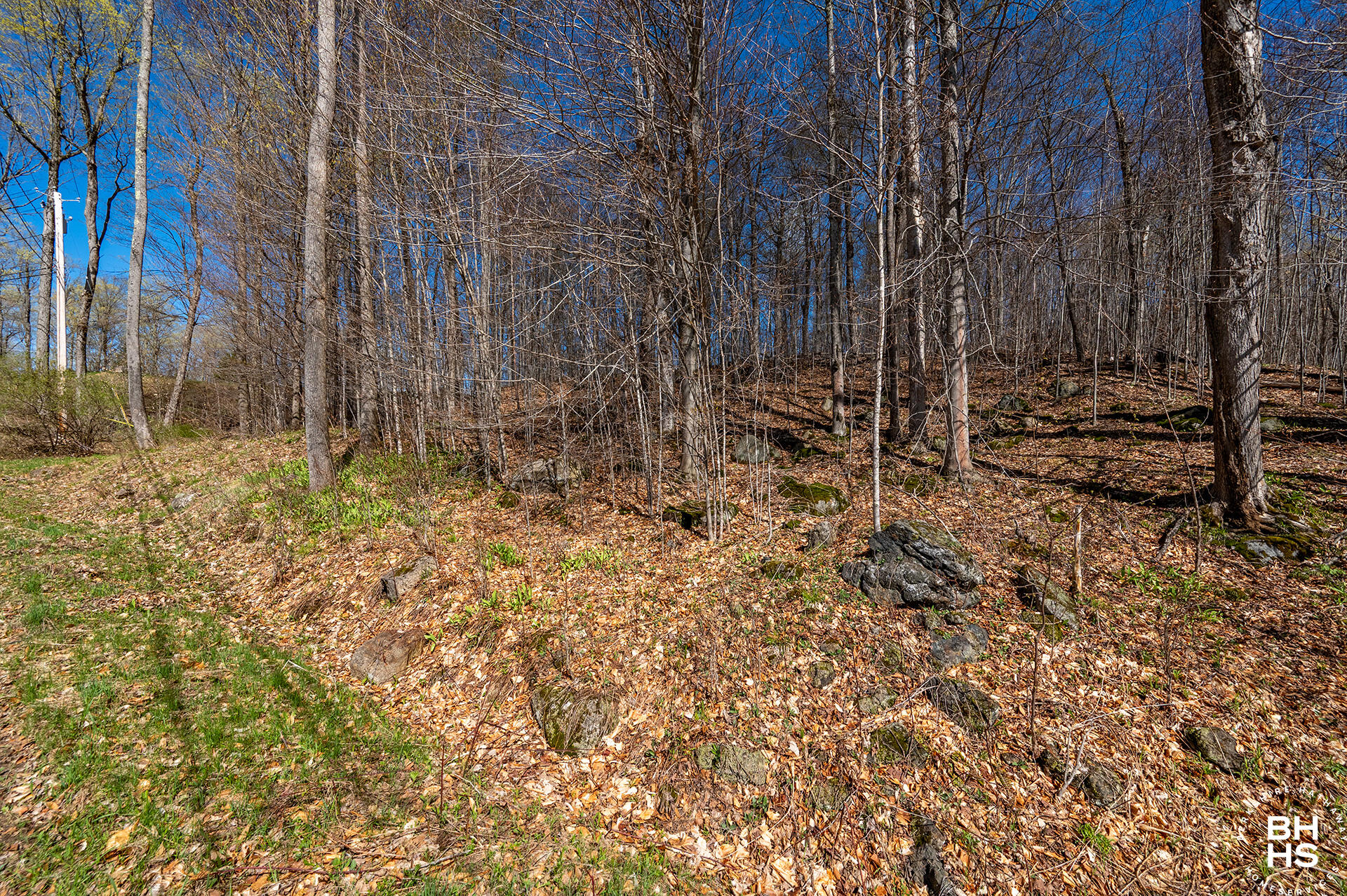 0 Panorama Lot 19 Drive