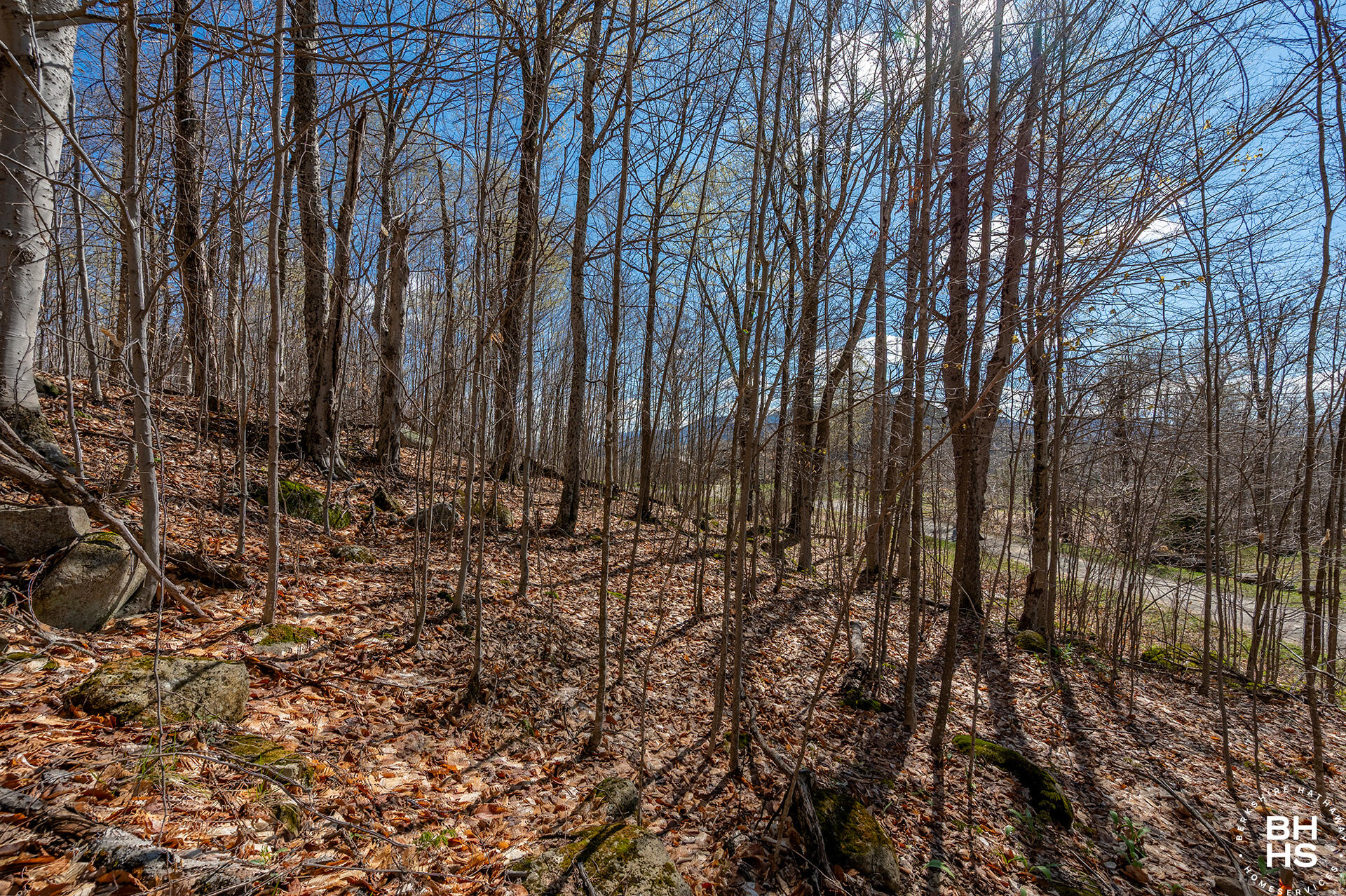 0 Panorama Lot 19 Drive