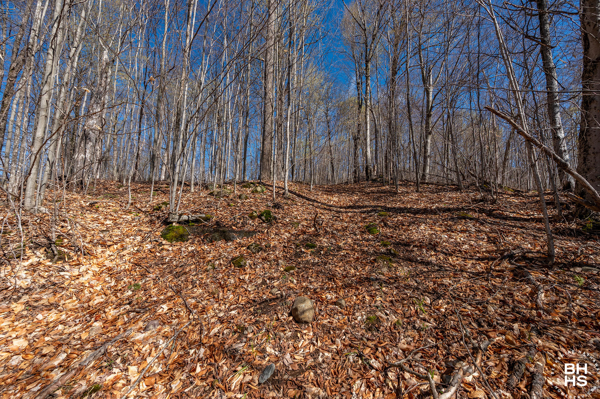 0 Panorama Lot 19 Drive