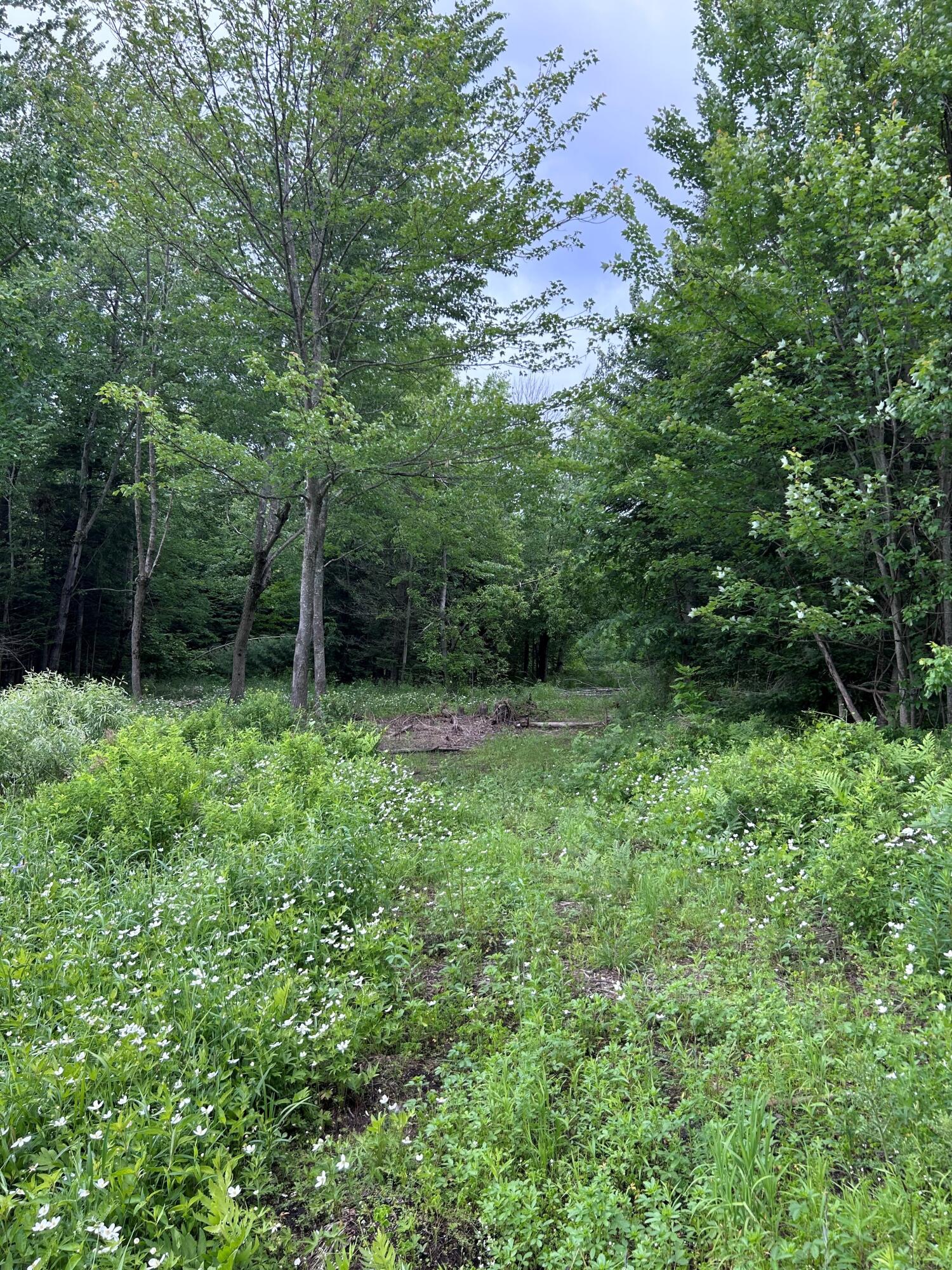 Cannon Corners Road, Mooers Forks, New York image 6