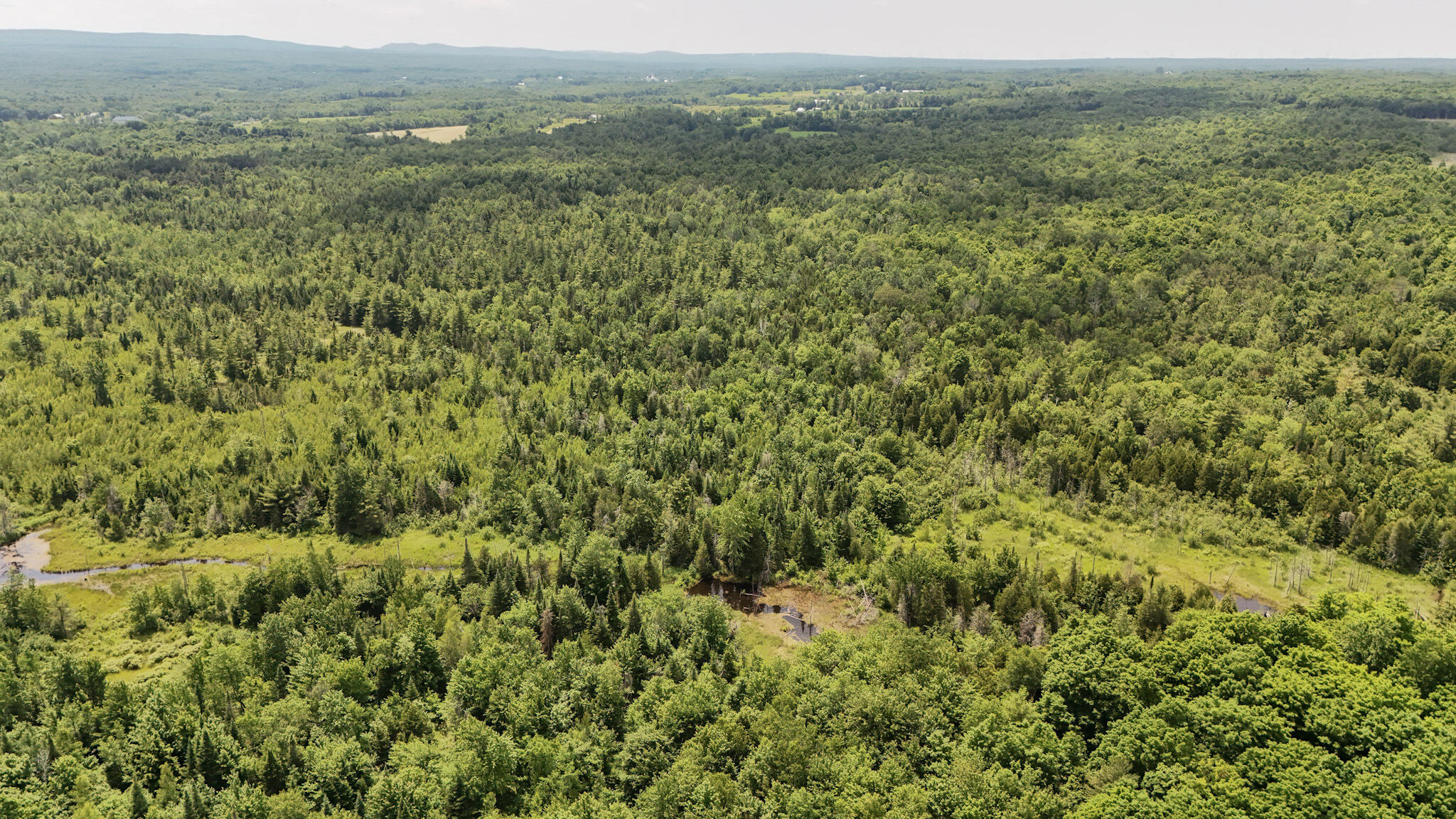 Cannon Corners Road, Mooers Forks, New York image 8