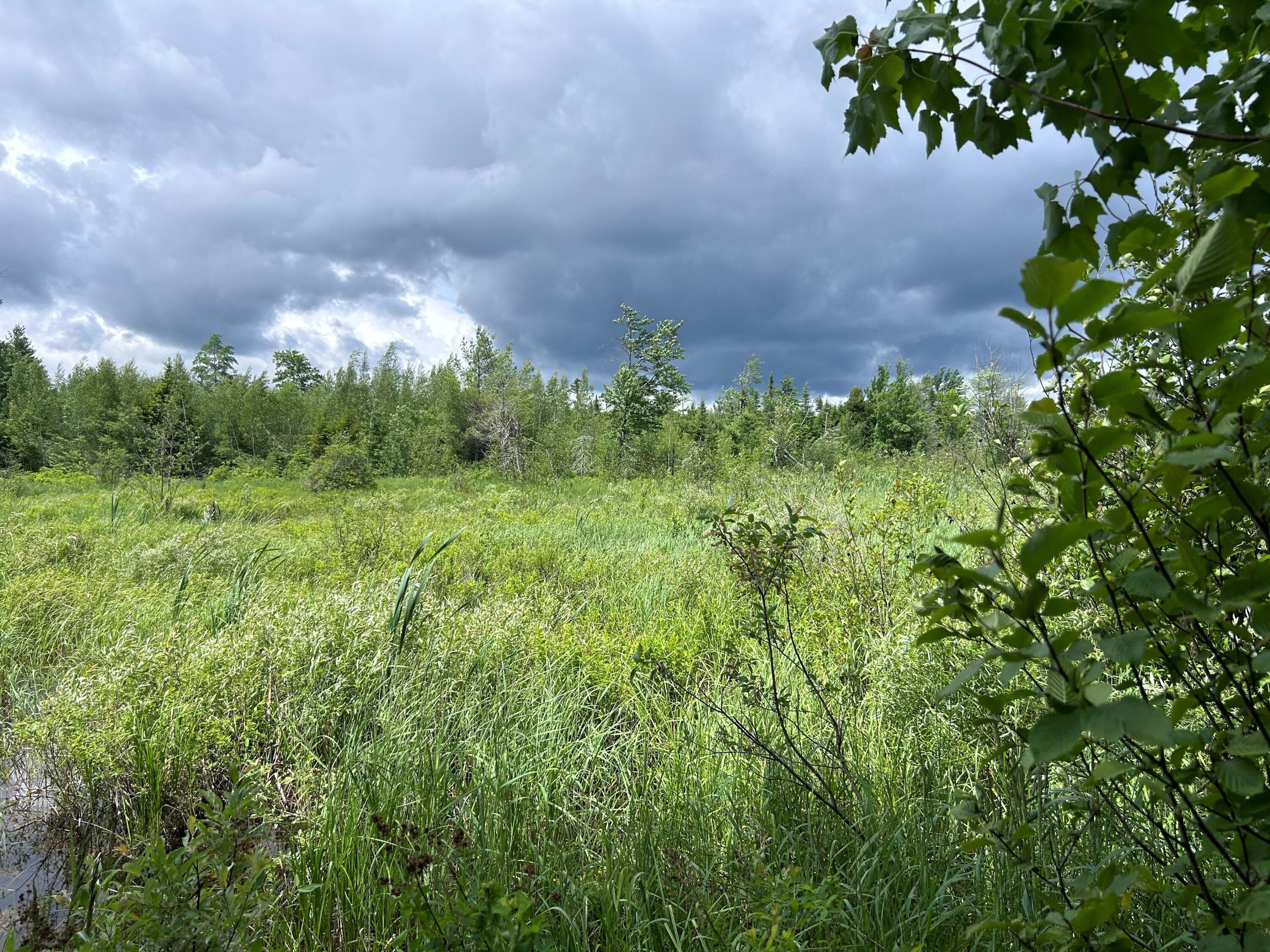 Cannon Corners Road, Mooers Forks, New York image 4