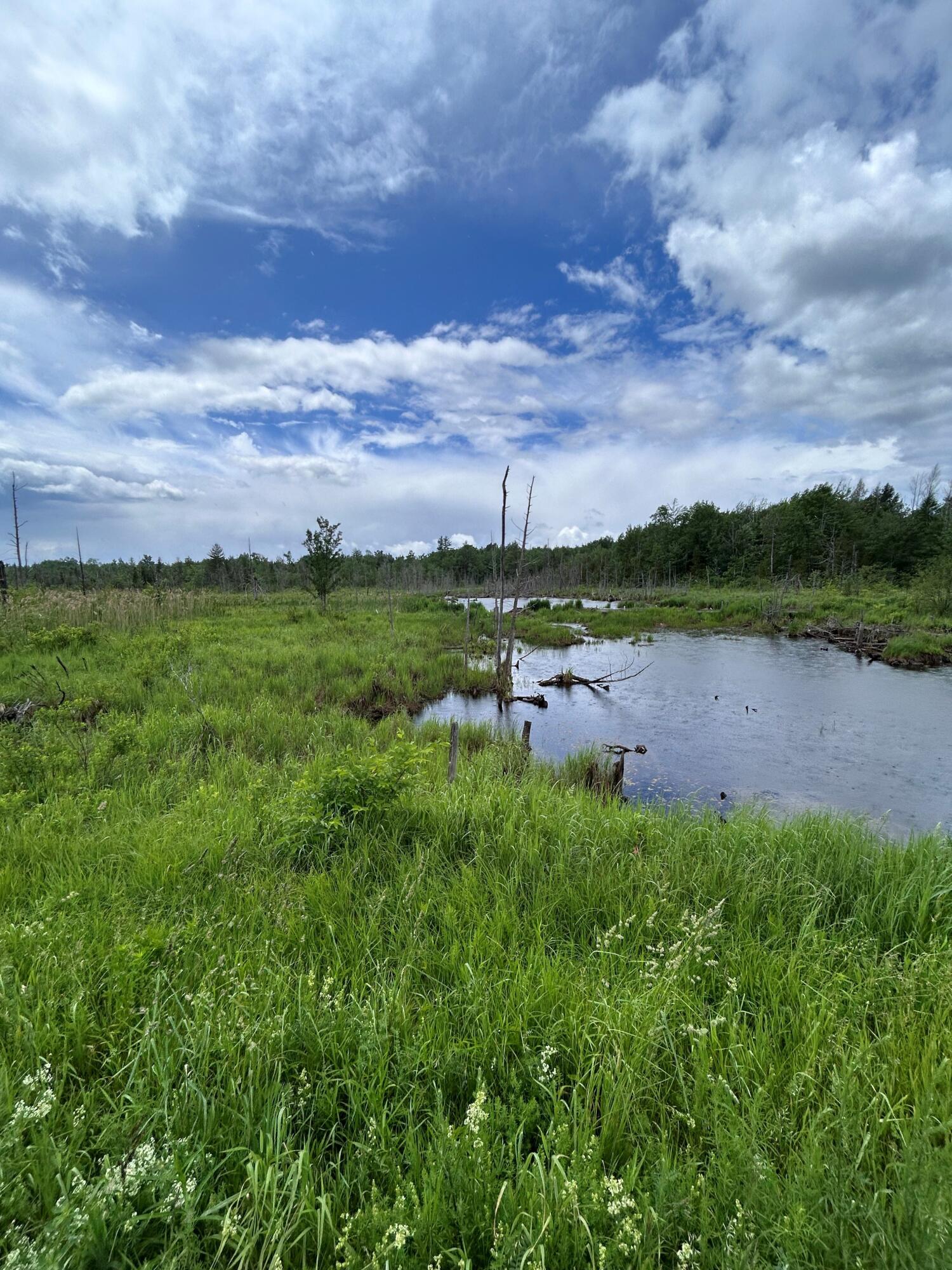 Cannon Corners Road, Mooers Forks, New York image 3