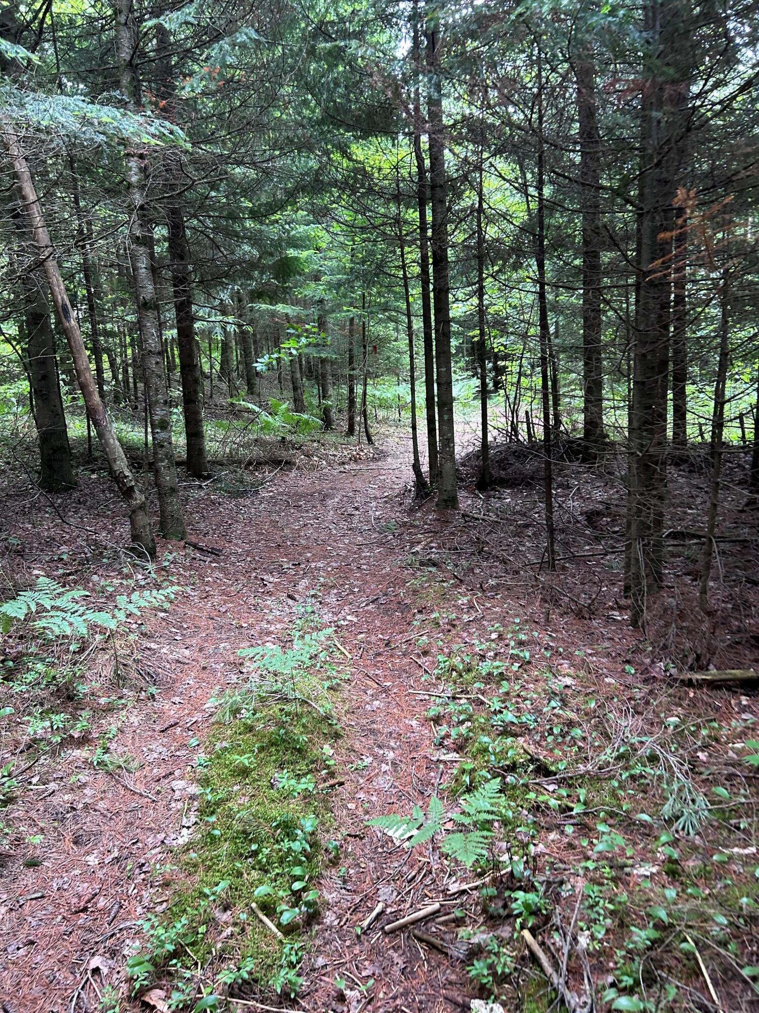 Cannon Corners Road, Mooers Forks, New York image 1