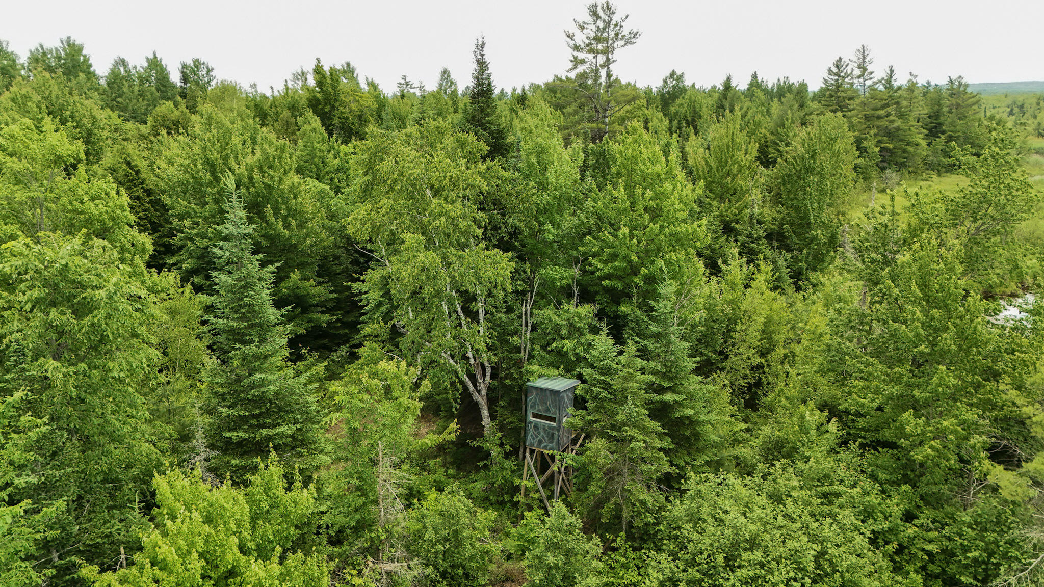 Cannon Corners Road, Mooers Forks, New York image 7