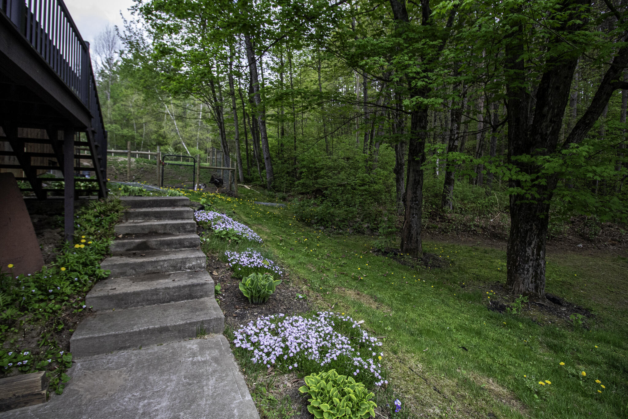 534 County Route 25, Malone, New York image 42