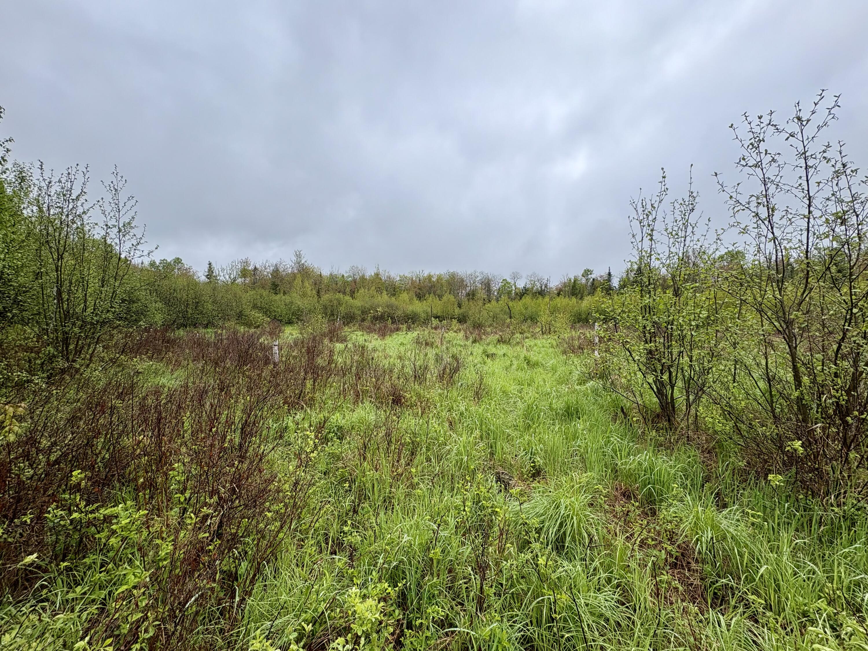 89 Don Jr Way, Altona, New York image 11