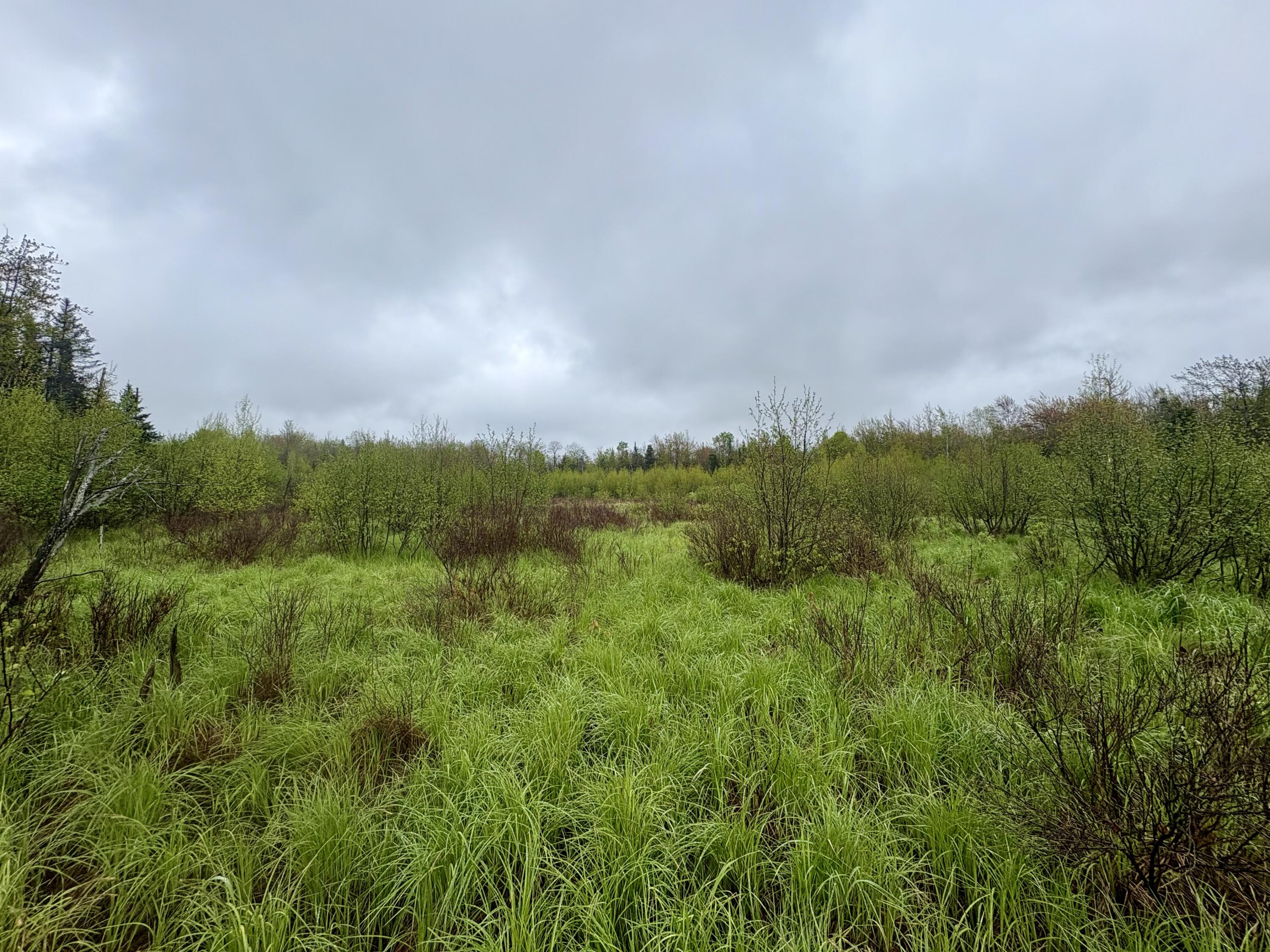 89 Don Jr Way, Altona, New York image 5