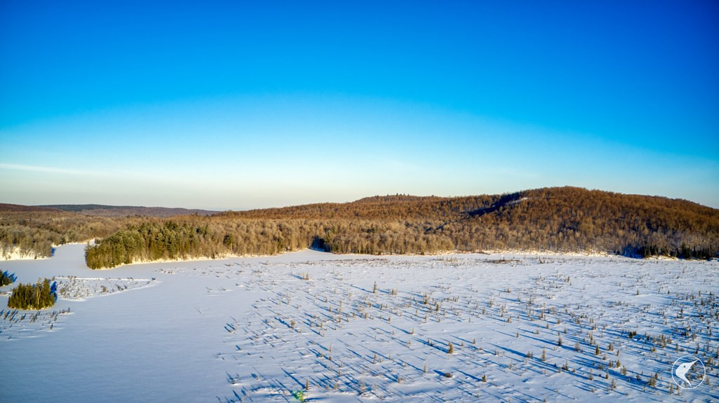 48 Twin Ponds Preserve, Malone, New York image 30