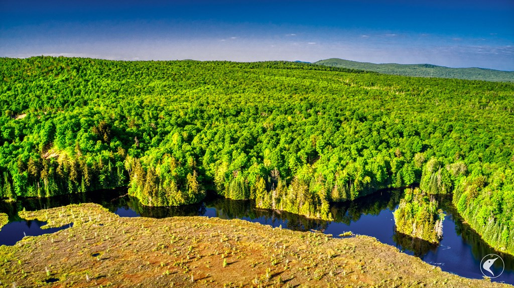 48 Twin Ponds Preserve, Malone, New York image 13