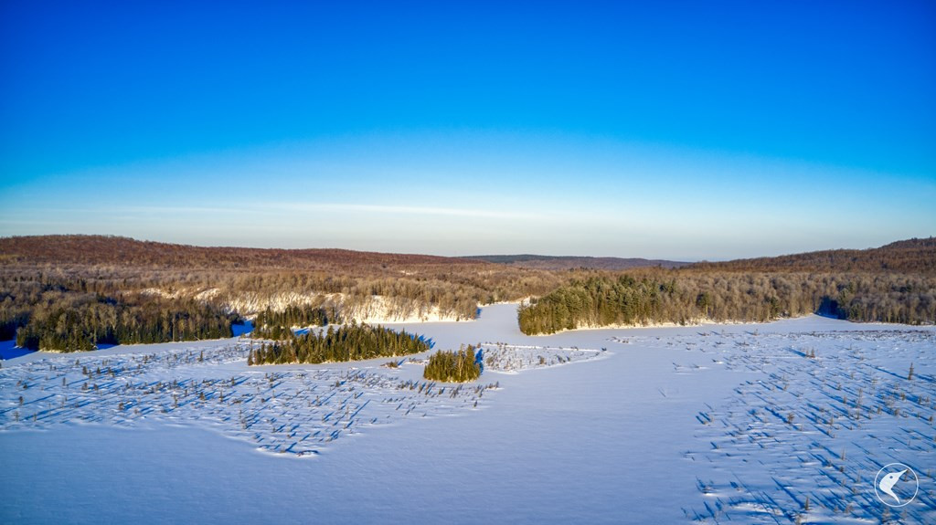 48 Twin Ponds Preserve, Malone, New York image 35