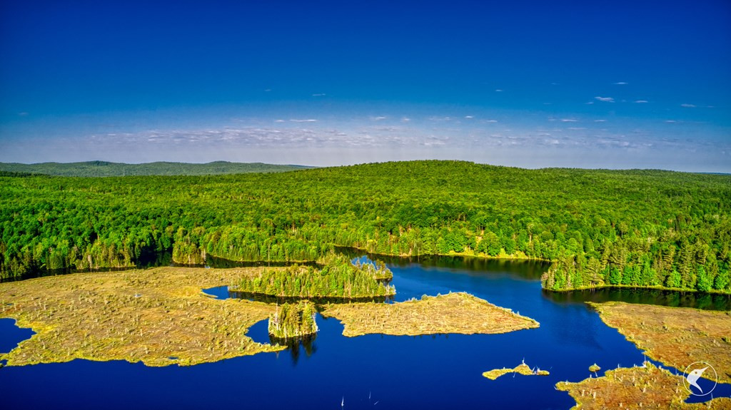 48 Twin Ponds Preserve, Malone, New York image 17